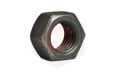 Hex Nut